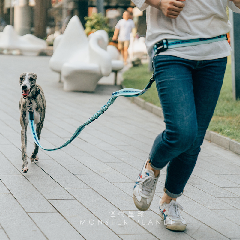 Verstellbare, freihändige Hund – Running Zwift Bewertung und Preis